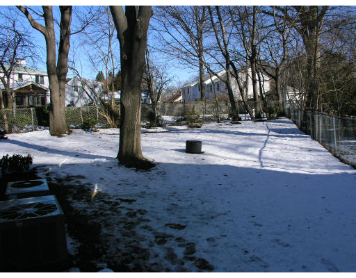 48 Edward Road Newton, MA 02465 - Photo 5 of 27 a view of road with trees
