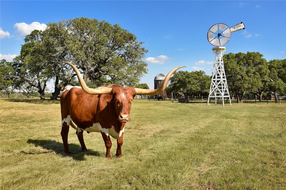 Arch Stanton Ranch has multiple historically significant restored antique US barns and windmills throughout this ranch...trophy longhorn cattle that can be hand feed as well.