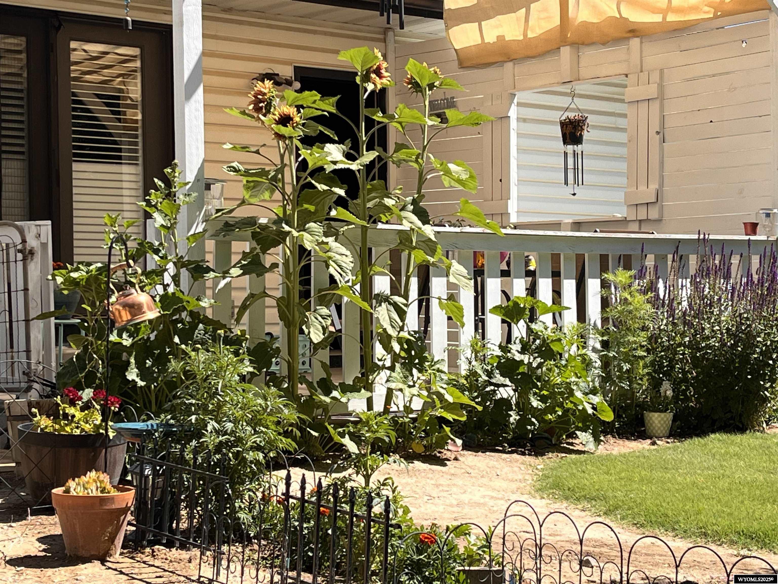 2304 Sierra Road Rock Springs, WY 82901 - Photo 36 of 38