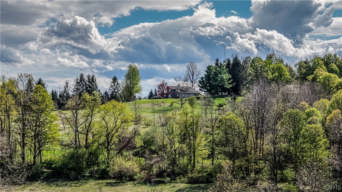 847 Jordanville Road Columbia, NY 13357 - Photo 16 of 48