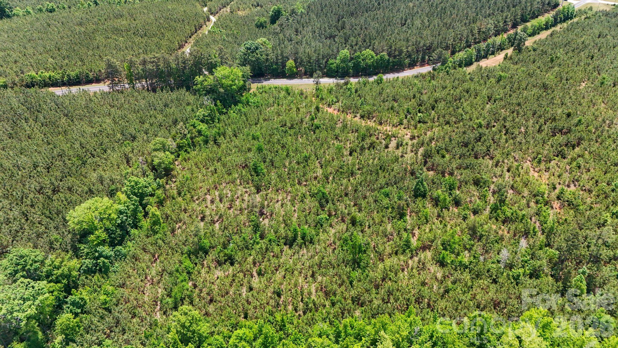 0 Cool Branch Road, Unit 5 Carlisle, SC 29031 - Photo 12 of 47