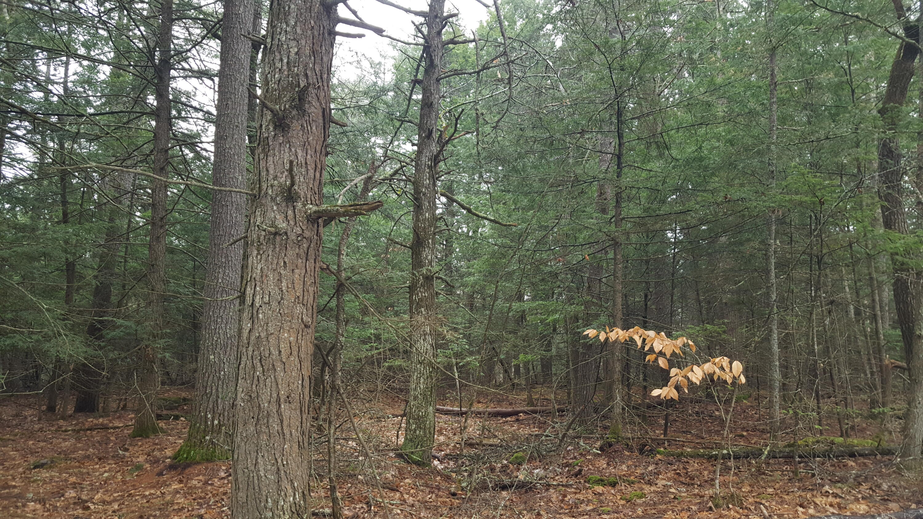 53 Johnson Road Windham, ME 04062 - Photo 22 of 22