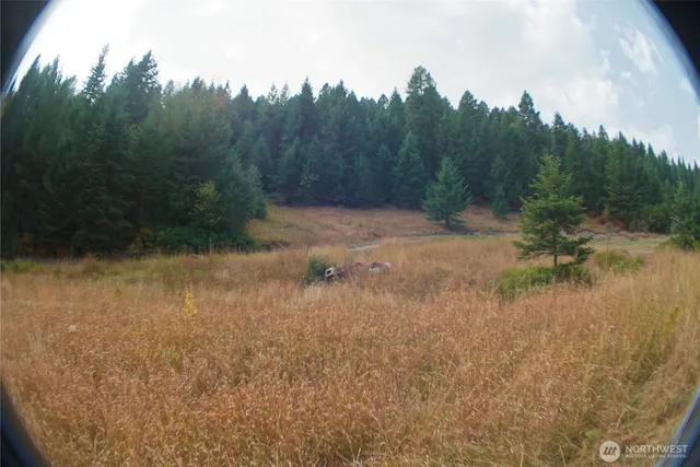 a view of a yard with a tree