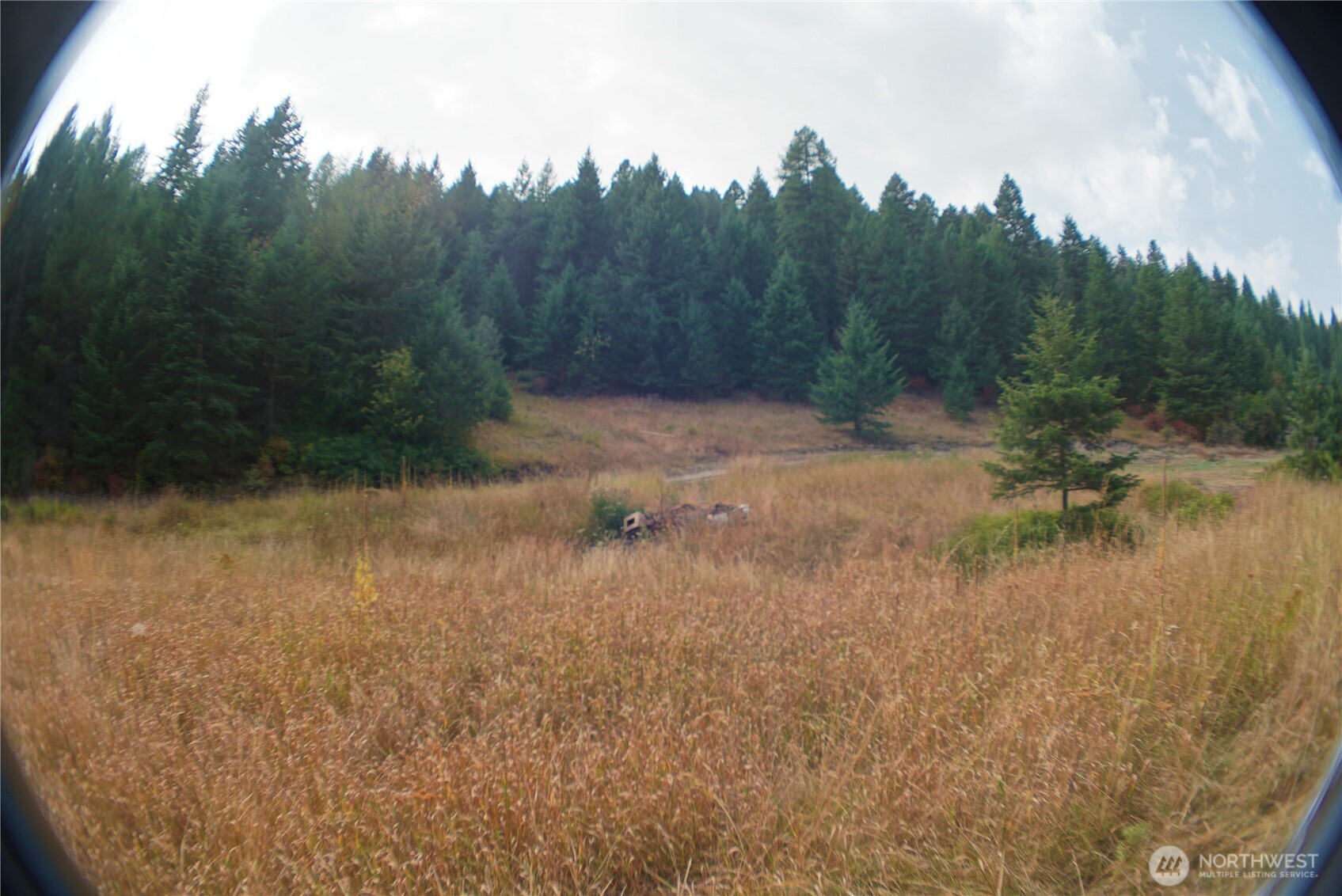 0 Wellman Road Republic, WA 99166 - Photo 11 of 18 a view of a yard with a tree