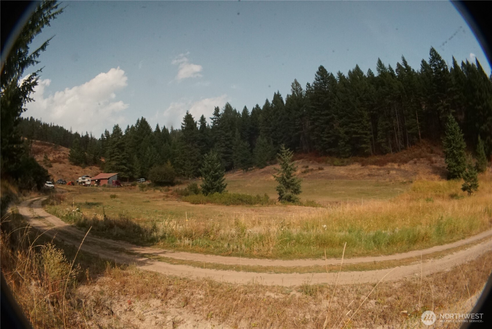0 Wellman Road Republic, WA 99166 - Photo 13 of 18 a view of a yard