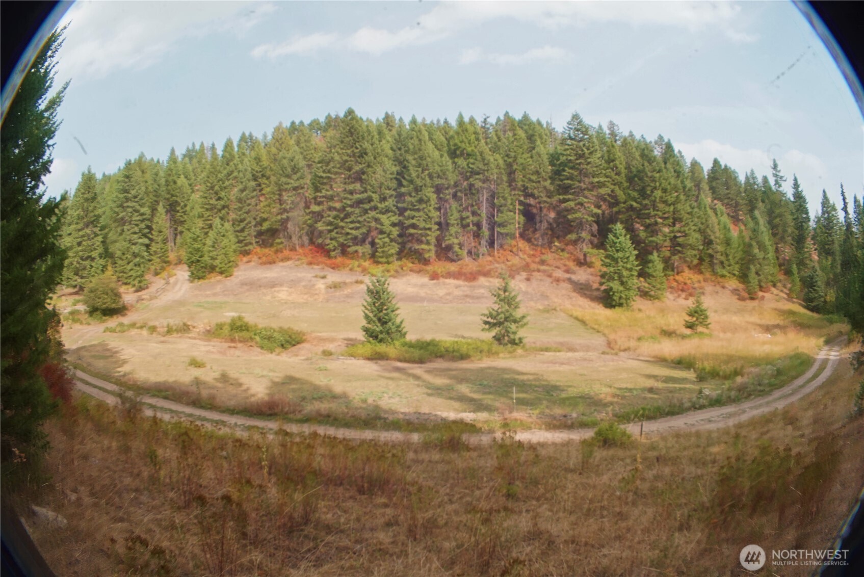 0 Wellman Road Republic, WA 99166 - Photo 15 of 18 a view of a yard with mountain view