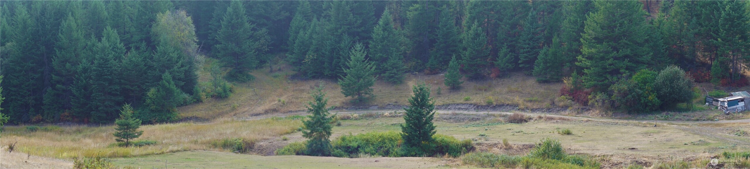 0 Wellman Road Republic, WA 99166 - Photo 17 of 18 a view of a yard