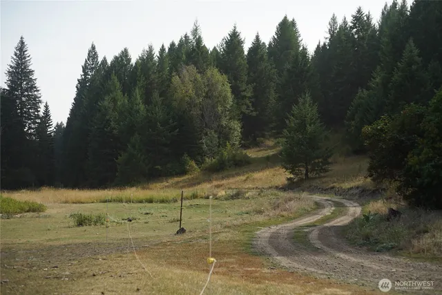a view of a yard with trees