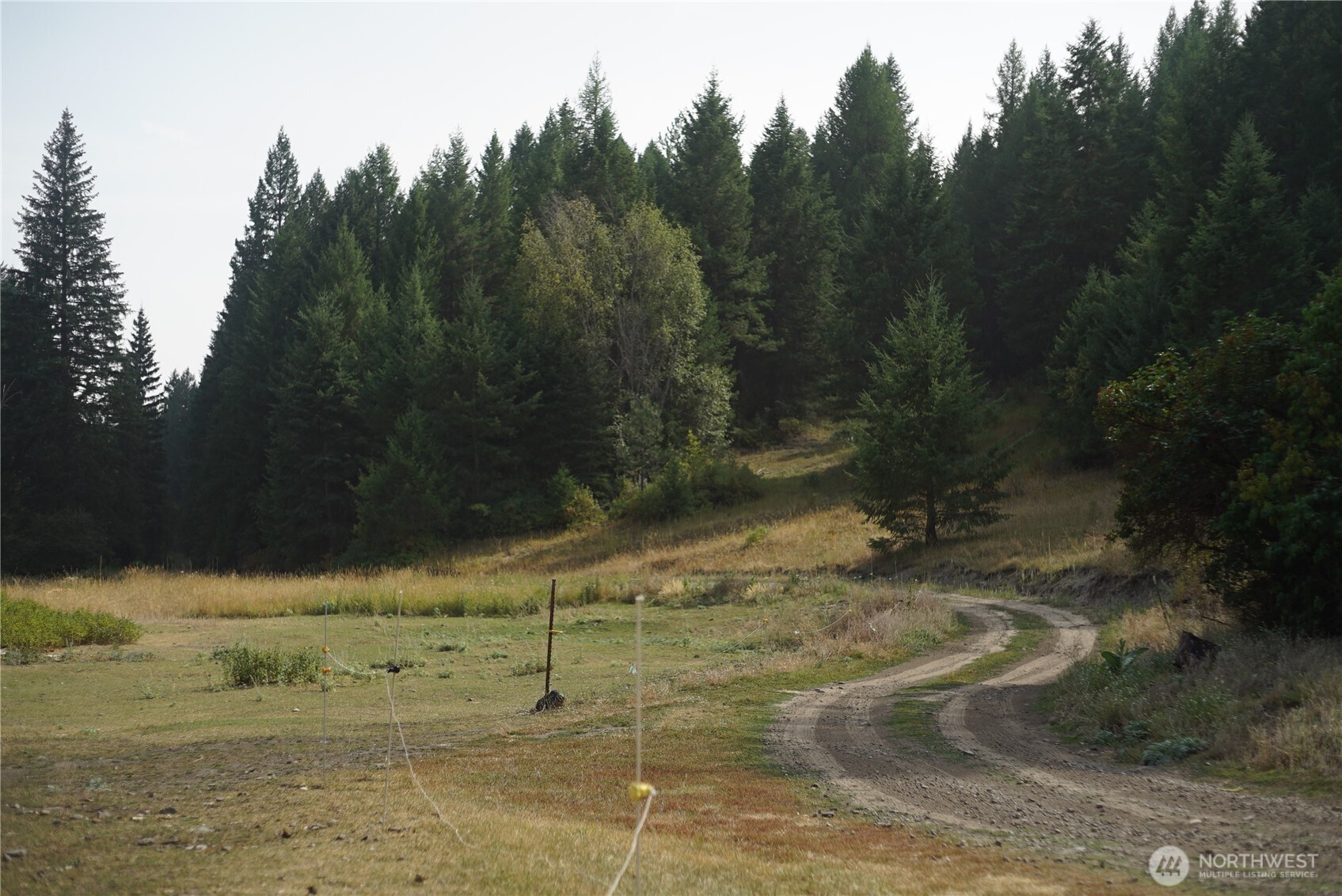 0 Wellman Road Republic, WA 99166 - Photo 3 of 18 a view of a yard with trees