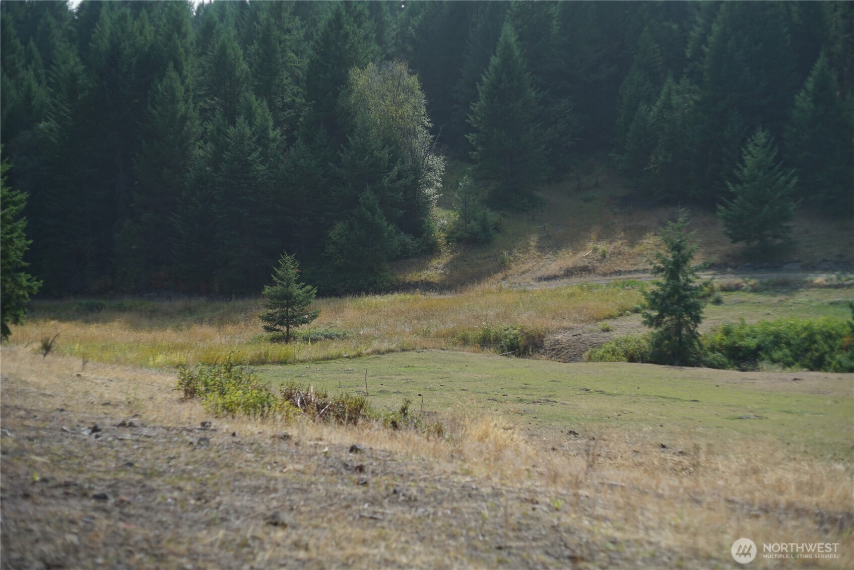 0 Wellman Road Republic, WA 99166 - Photo 4 of 18 a view of a dry yard with green space