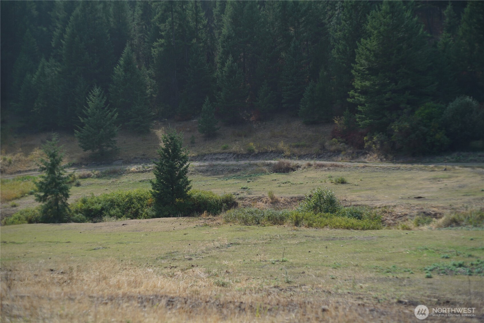 0 Wellman Road Republic, WA 99166 - Photo 5 of 18 a view of a yard