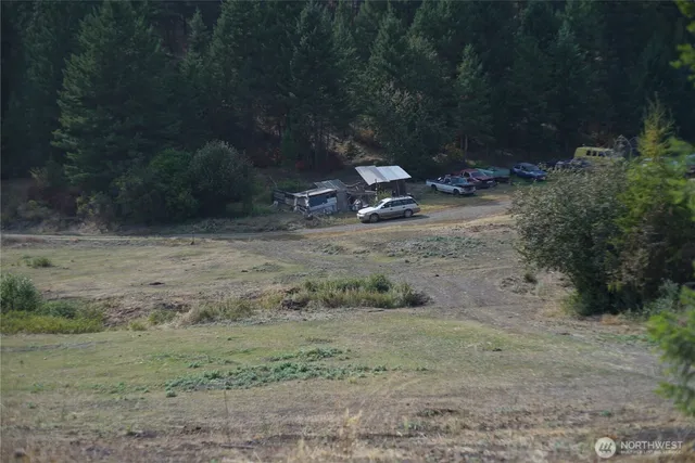 a view of a dry yard with trees