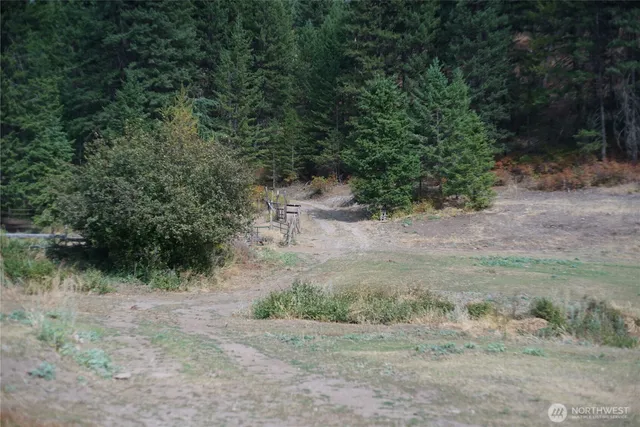 a view of a dry yard with trees