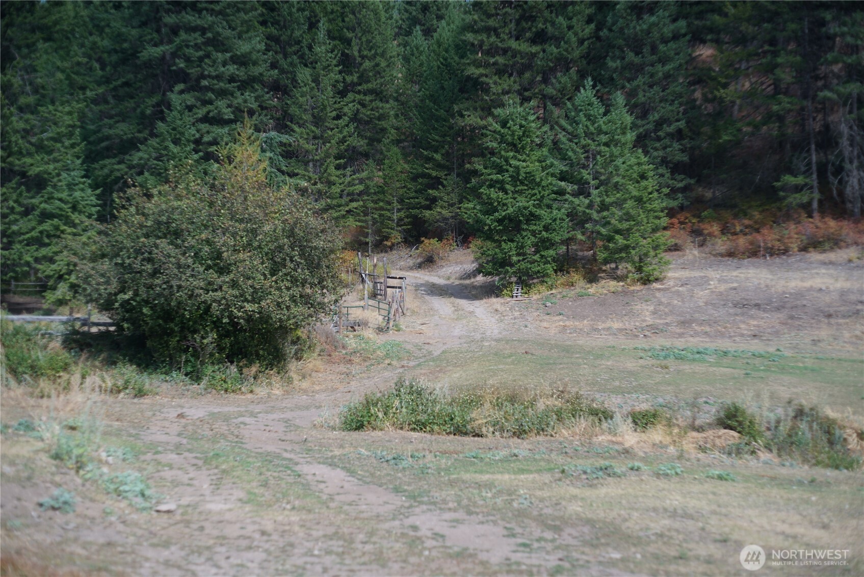 0 Wellman Road Republic, WA 99166 - Photo 7 of 18 a view of a dry yard with trees
