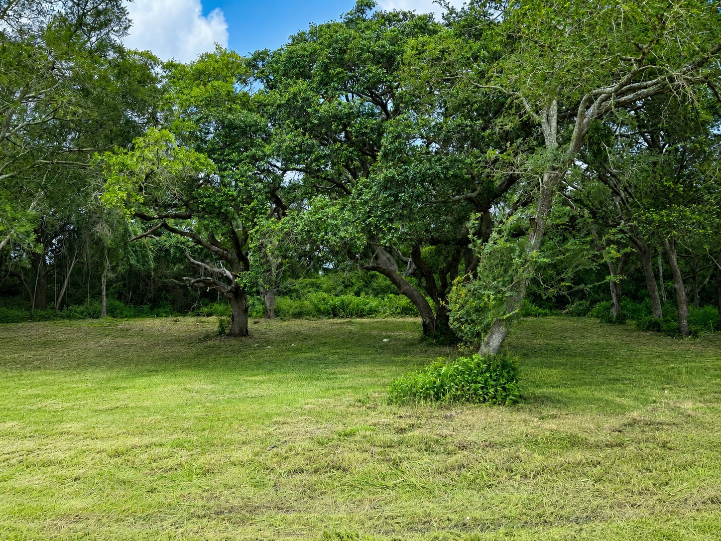 0 Riverside Drive Palacios, TX 77465 - Photo 5 of 7