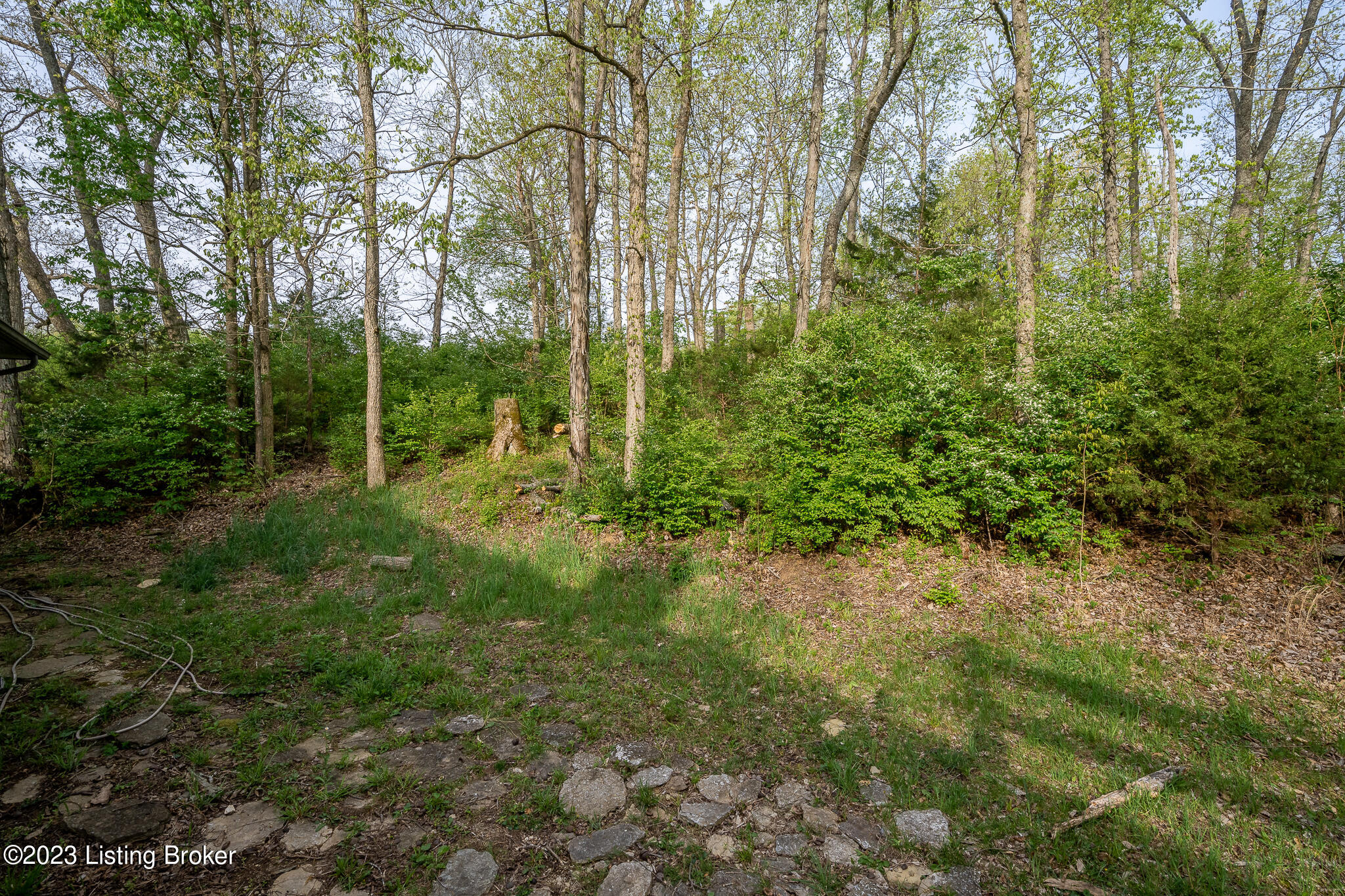 7962 Plum Run Road Bloomfield, KY 40008 - Photo 50 of 66 7962 Plum Run Rd-14