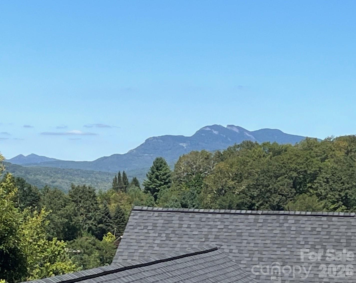 3434 Old Jonas Ridge Road Newland, NC 28657 - Photo 2 of 46 a view of a city with mountain