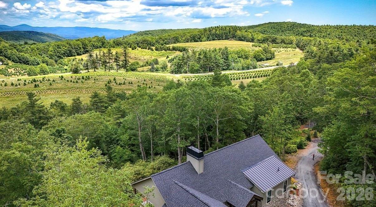 3434 Old Jonas Ridge Road Newland, NC 28657 - Photo 6 of 46 a view of a yard with an outdoor space
