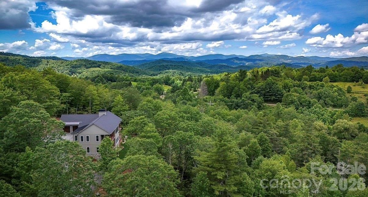 3434 Old Jonas Ridge Road Newland, NC 28657 - Photo 7 of 46 a view of a city with lush green forest