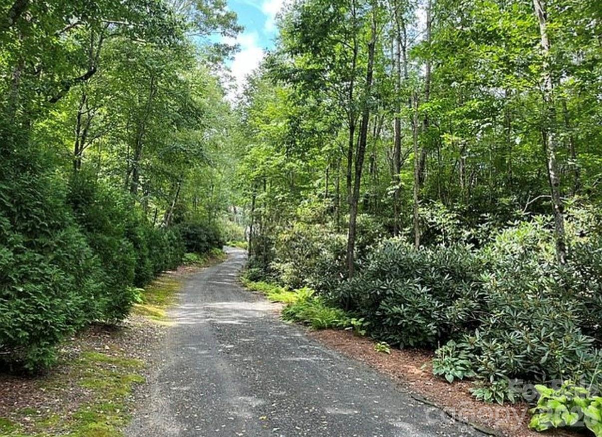 3434 Old Jonas Ridge Road Newland, NC 28657 - Photo 9 of 46 a view of a road with plants and trees