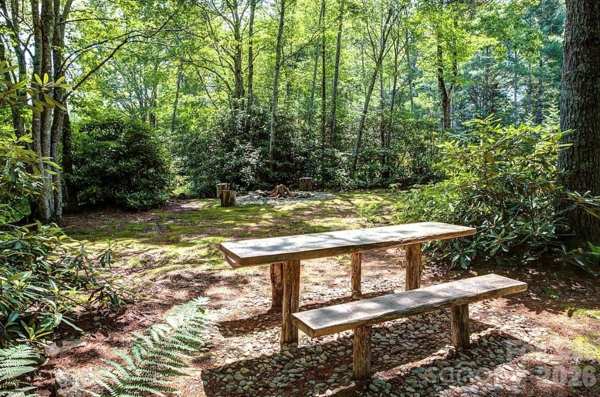 3434 Old Jonas Ridge Road Newland, NC 28657 - Photo 10 of 46 a view of a yard with large trees