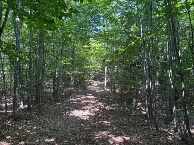 Erdt Road Suttons Bay, MI 49682 - Photo 6 of 36 Gallery Image 6