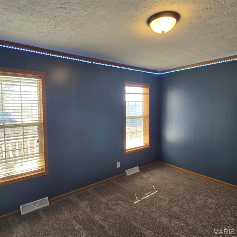 301 March Road Walnut Hill, IL 62893 - Photo 30 of 46