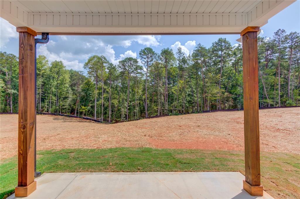 267 Cool Springs Road Clarkesville, GA 30523 - Photo 4 of 43