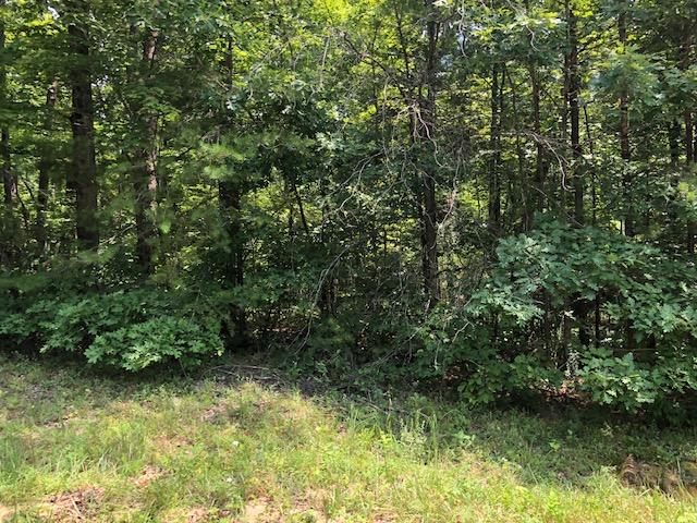 Lot 45 Cliff Park Road Monterey, TN 38574 - Photo 23 of 30 IMG_5536