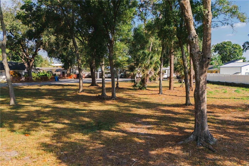 15509 Casey Rd Extension Tampa, FL 33624 - Photo 56 of 65 a view of a water fountain with trees in the background