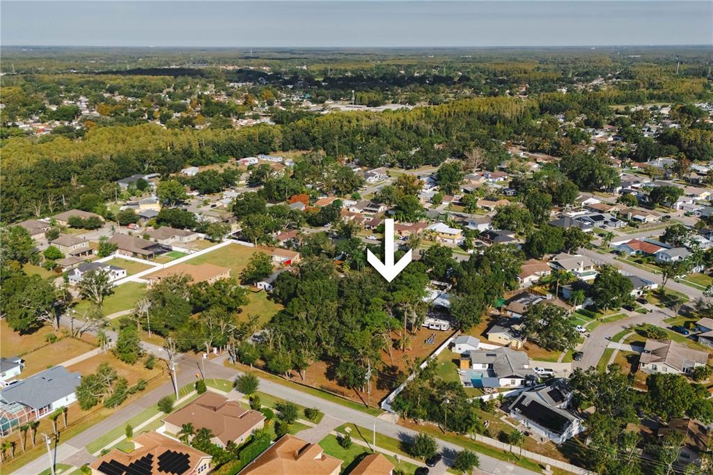 15509 Casey Rd Extension Tampa, FL 33624 - Photo 61 of 65 an aerial view of residential houses with outdoor space and trees