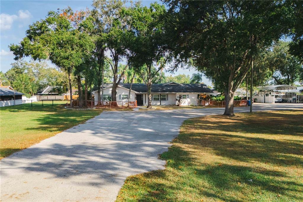 15509 Casey Rd Extension Tampa, FL 33624 - Photo 63 of 65 a house with huge tree in front of it