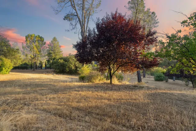 a view of yard with green space