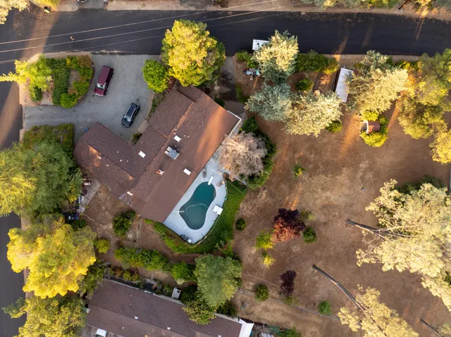 a picture of flowers