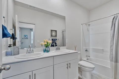 a bathroom with a toilet a sink and mirror