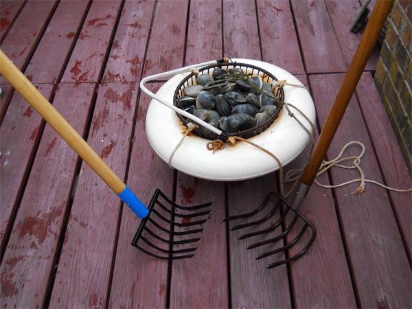 56 Rip Van Winkle Way Bourne, MA 02532 - Photo 29 of 30