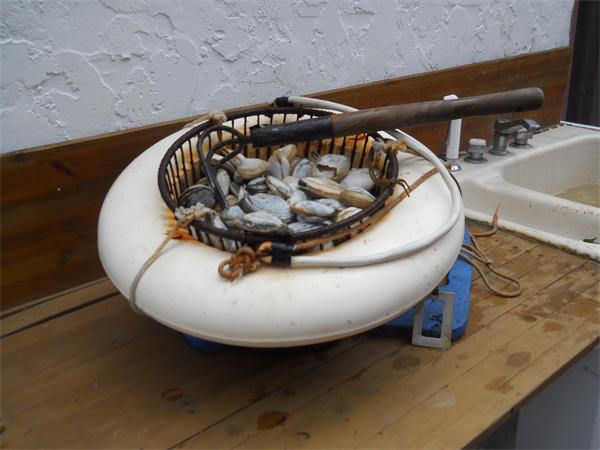 56 Rip Van Winkle Way Bourne, MA 02532 - Photo 30 of 30