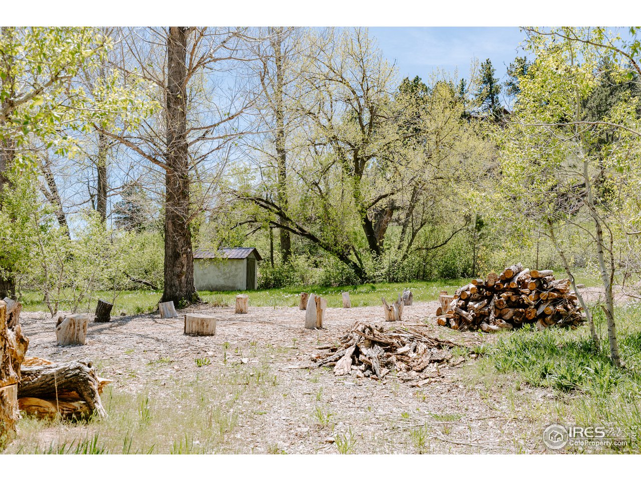 2847 Middle Fork Road Boulder, CO 80302 - Photo 13 of 22