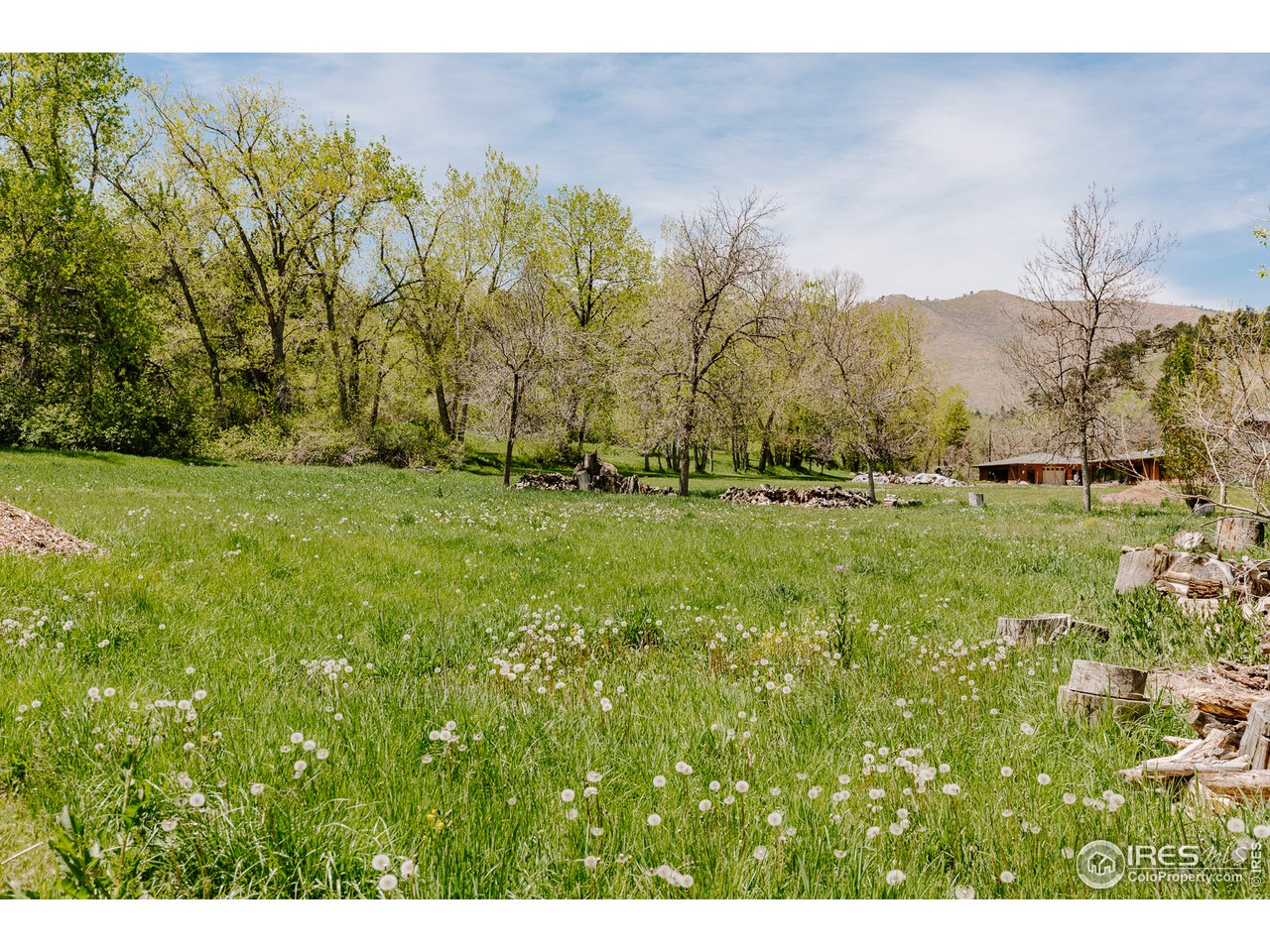 2847 Middle Fork Road Boulder, CO 80302 - Photo 16 of 22