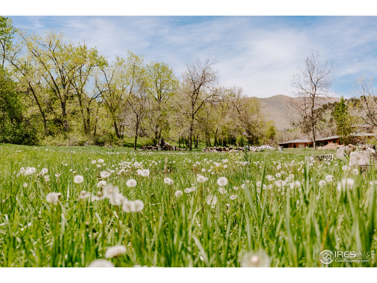 2847 Middle Fork Road Boulder, CO 80302 - Photo 19 of 22