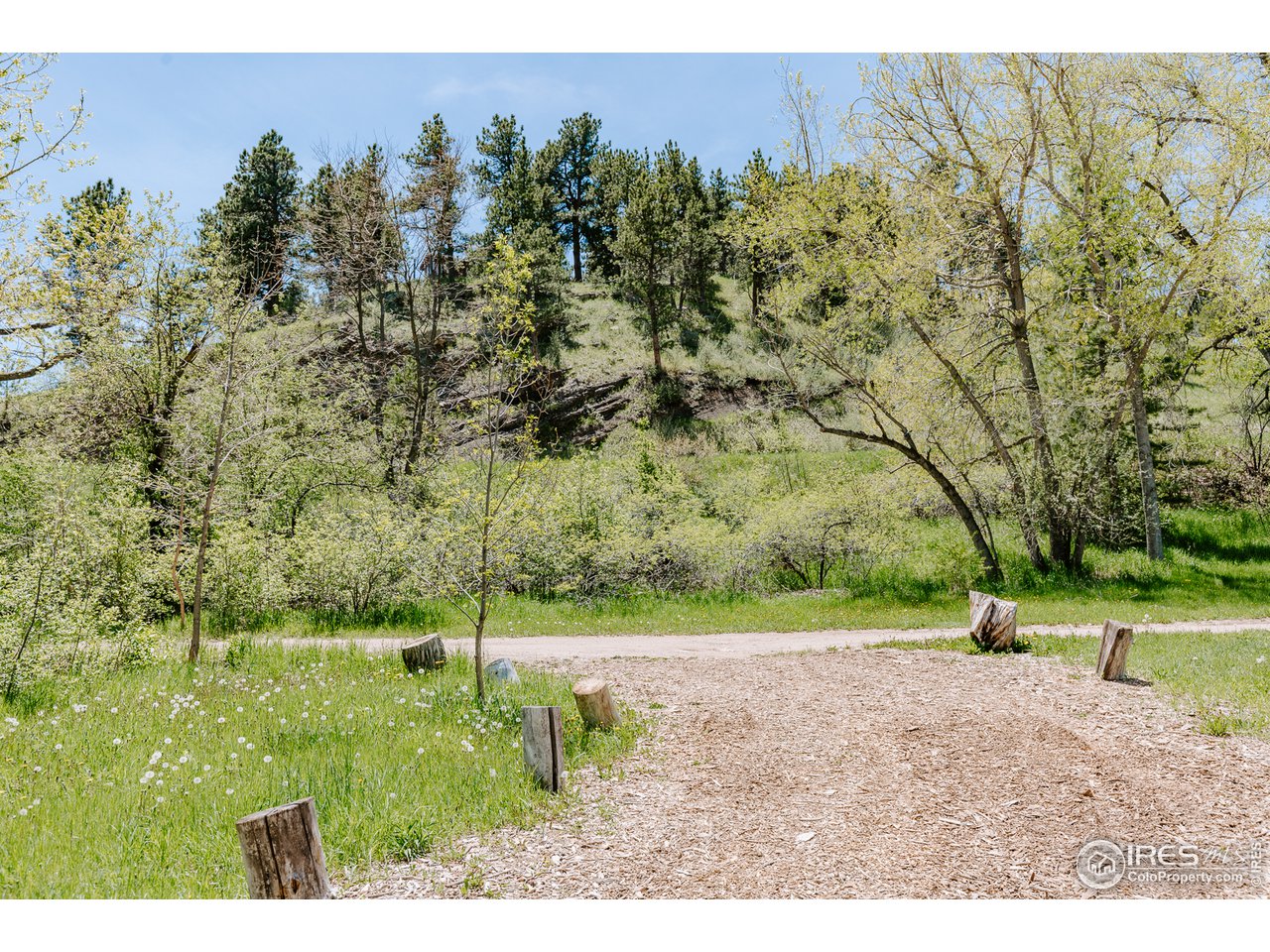 2847 Middle Fork Road Boulder, CO 80302 - Photo 3 of 22