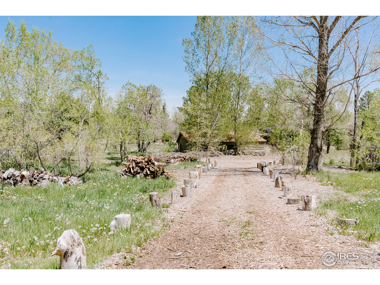 2847 Middle Fork Road Boulder, CO 80302 - Photo 5 of 22