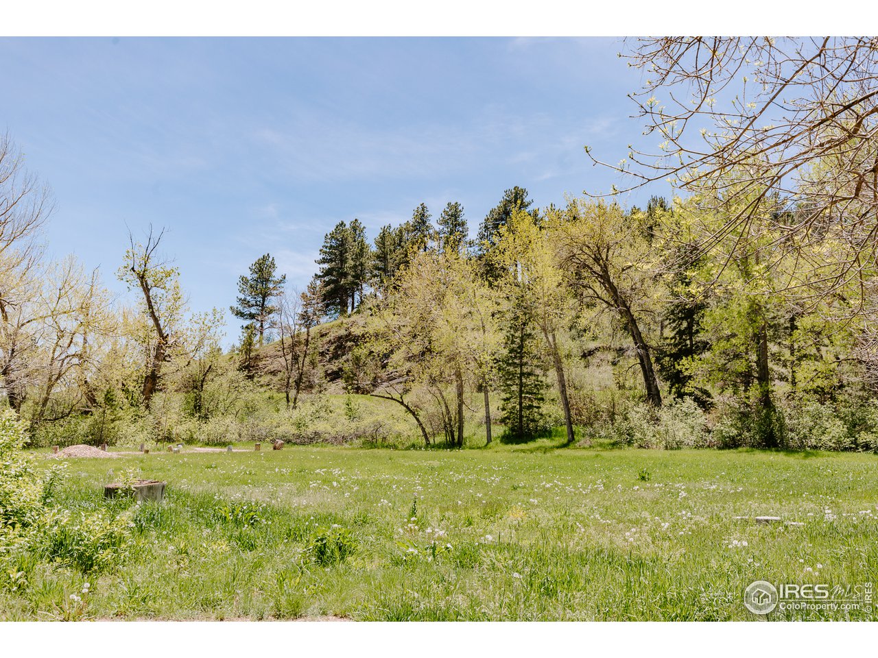 2847 Middle Fork Road Boulder, CO 80302 - Photo 7 of 22