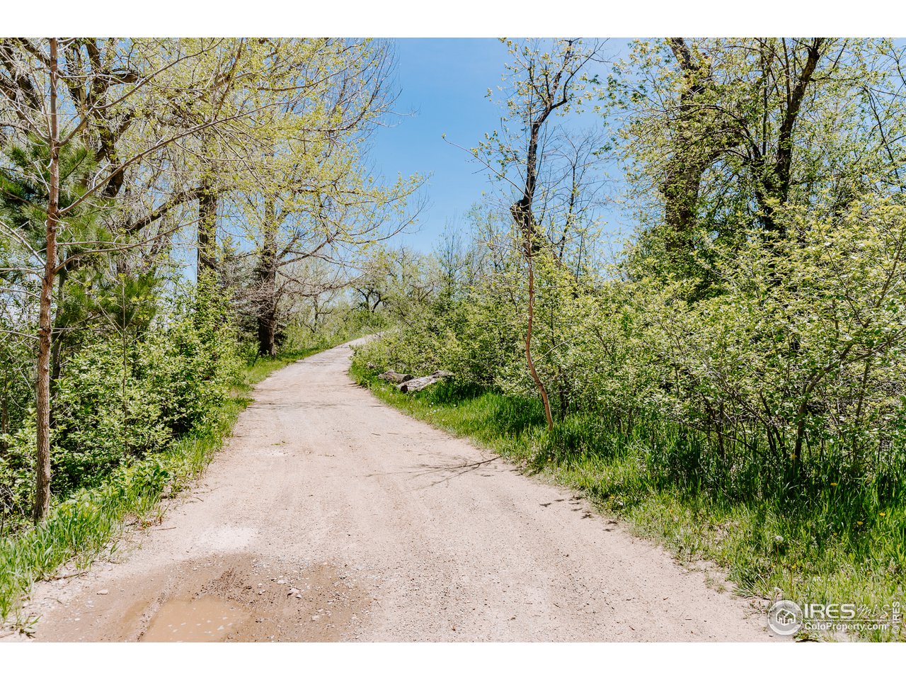 2847 Middle Fork Road Boulder, CO 80302 - Photo 9 of 22