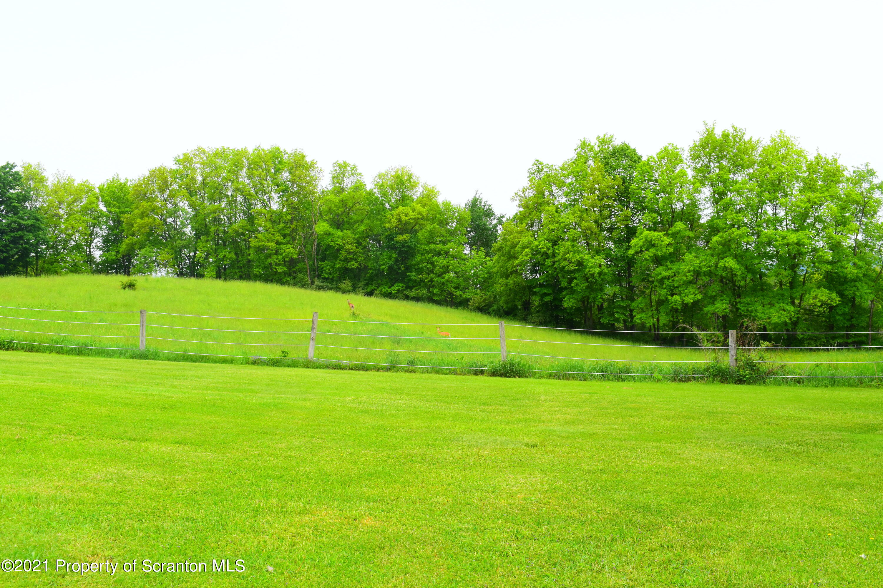 3114 Ridge Road Montrose, PA 18801 - Photo 34 of 64 Gallery Image 34