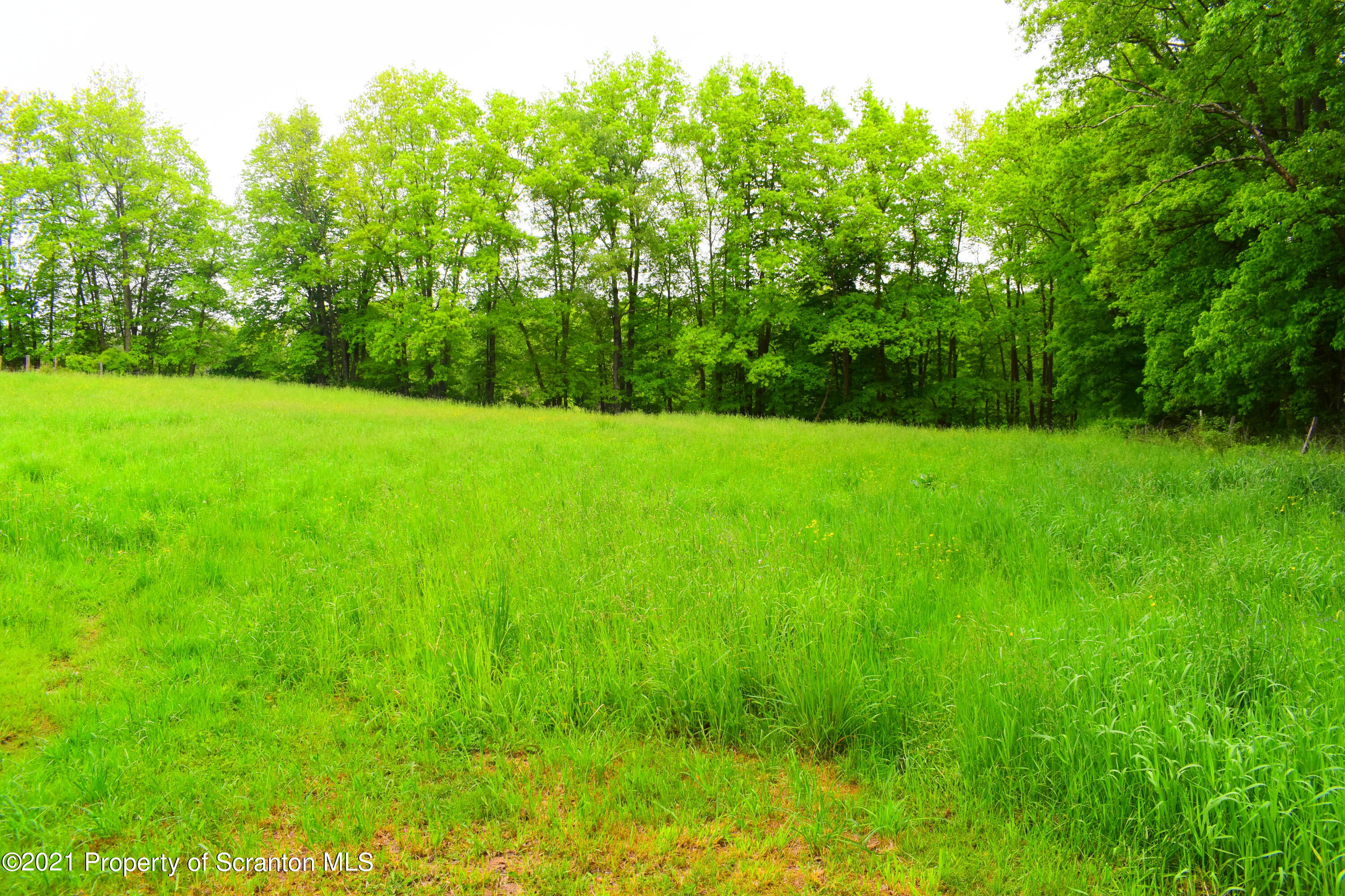 3114 Ridge Road Montrose, PA 18801 - Photo 41 of 64 Gallery Image 41