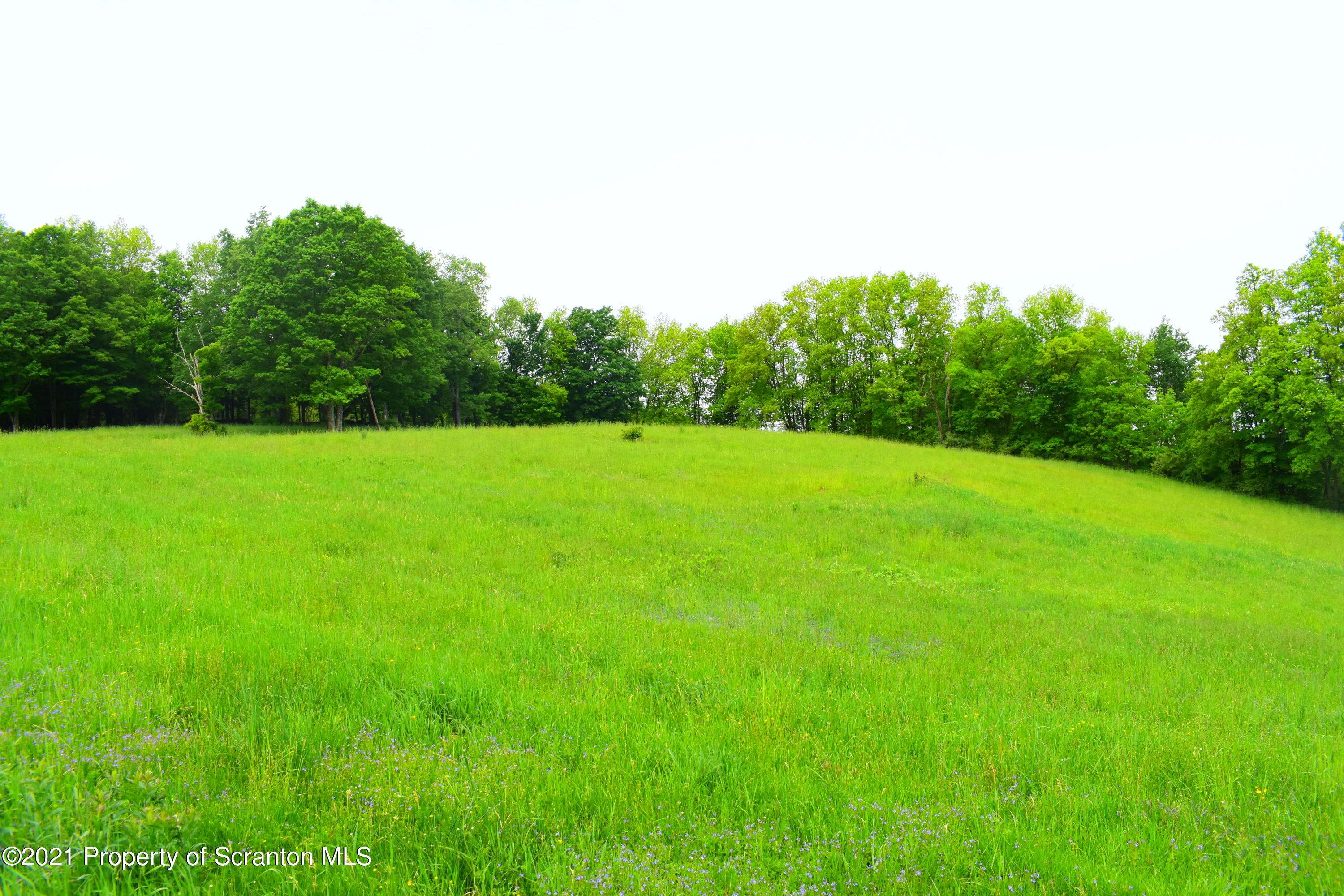 3114 Ridge Road Montrose, PA 18801 - Photo 46 of 64 Gallery Image 46