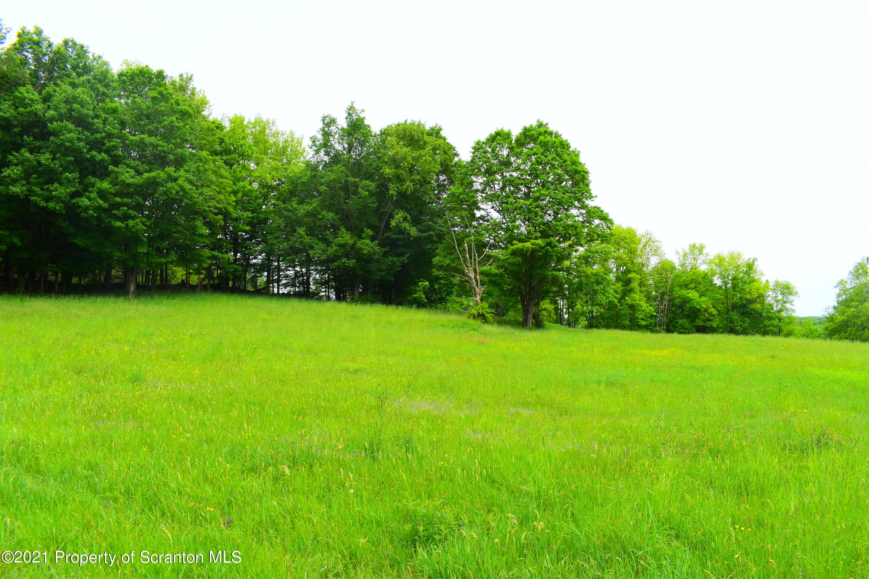 3114 Ridge Road Montrose, PA 18801 - Photo 51 of 64 Gallery Image 51