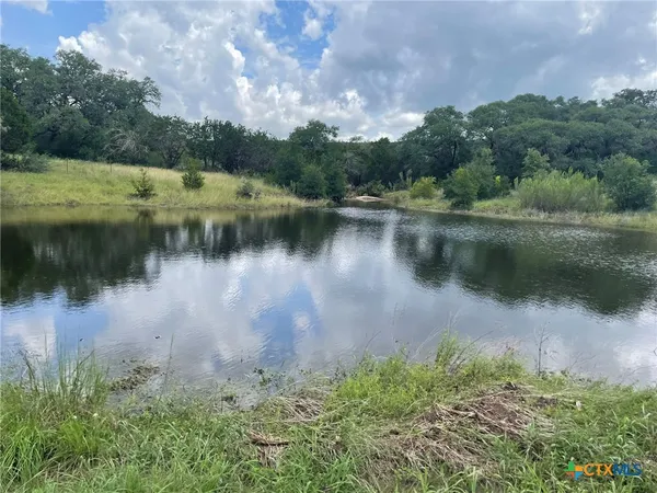a view of a lake with a yard and a large tree