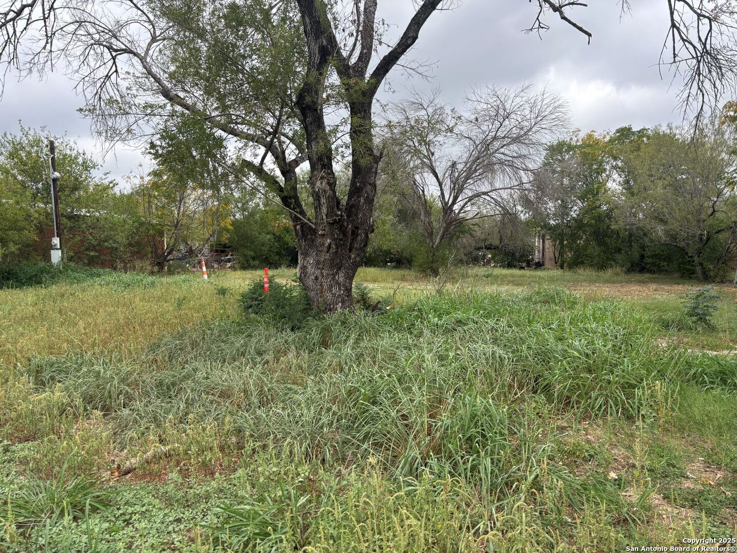 7827 Von Ormy Road Von Ormy, TX 78073 - Photo 1 of 8 a big yard with lots of green space and deers
